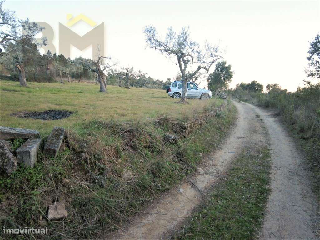 Quintinha em Palvarinho - Grande imagem: 4/26