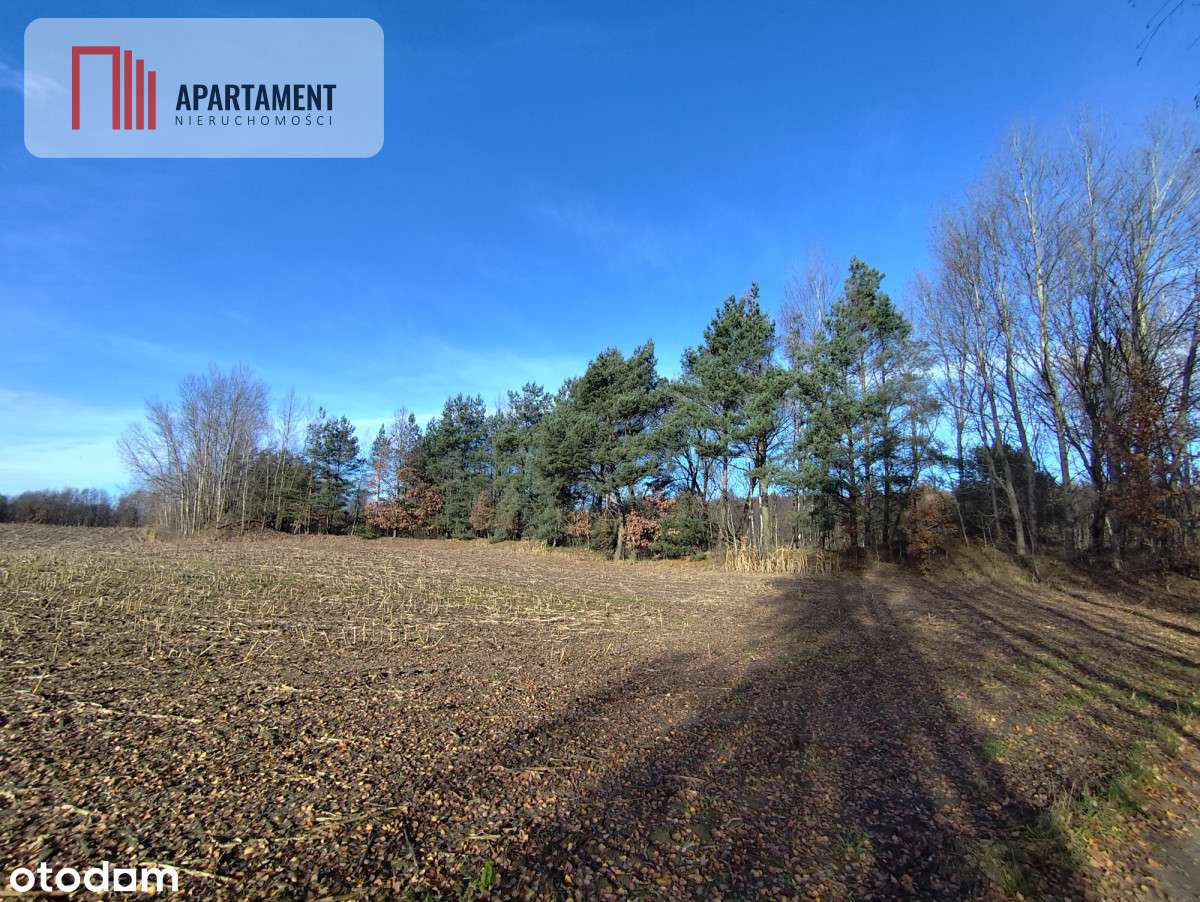 Działka z dużym potencjałem! Blisko natury! - Pełny obrazek: 4/9