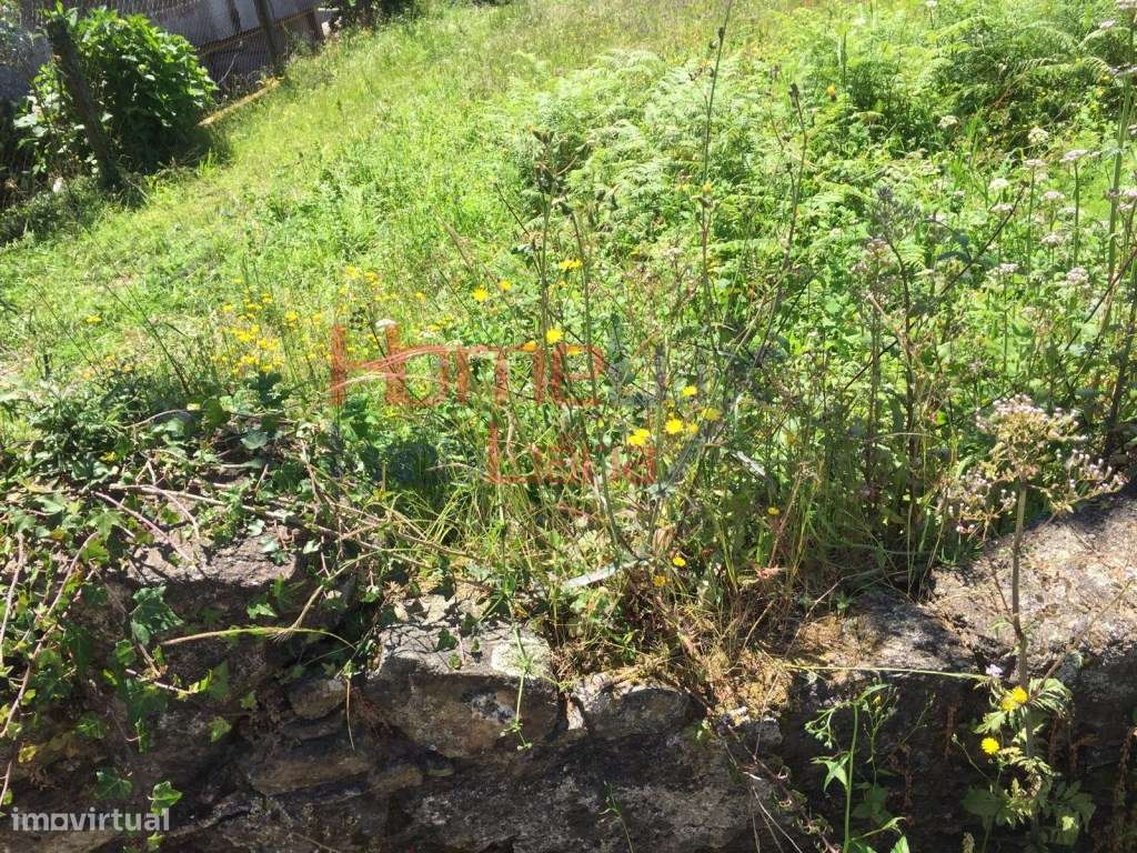Terreno para construção em Cidacos - Oliveira de Azeméis - Grande imagem: 3/6