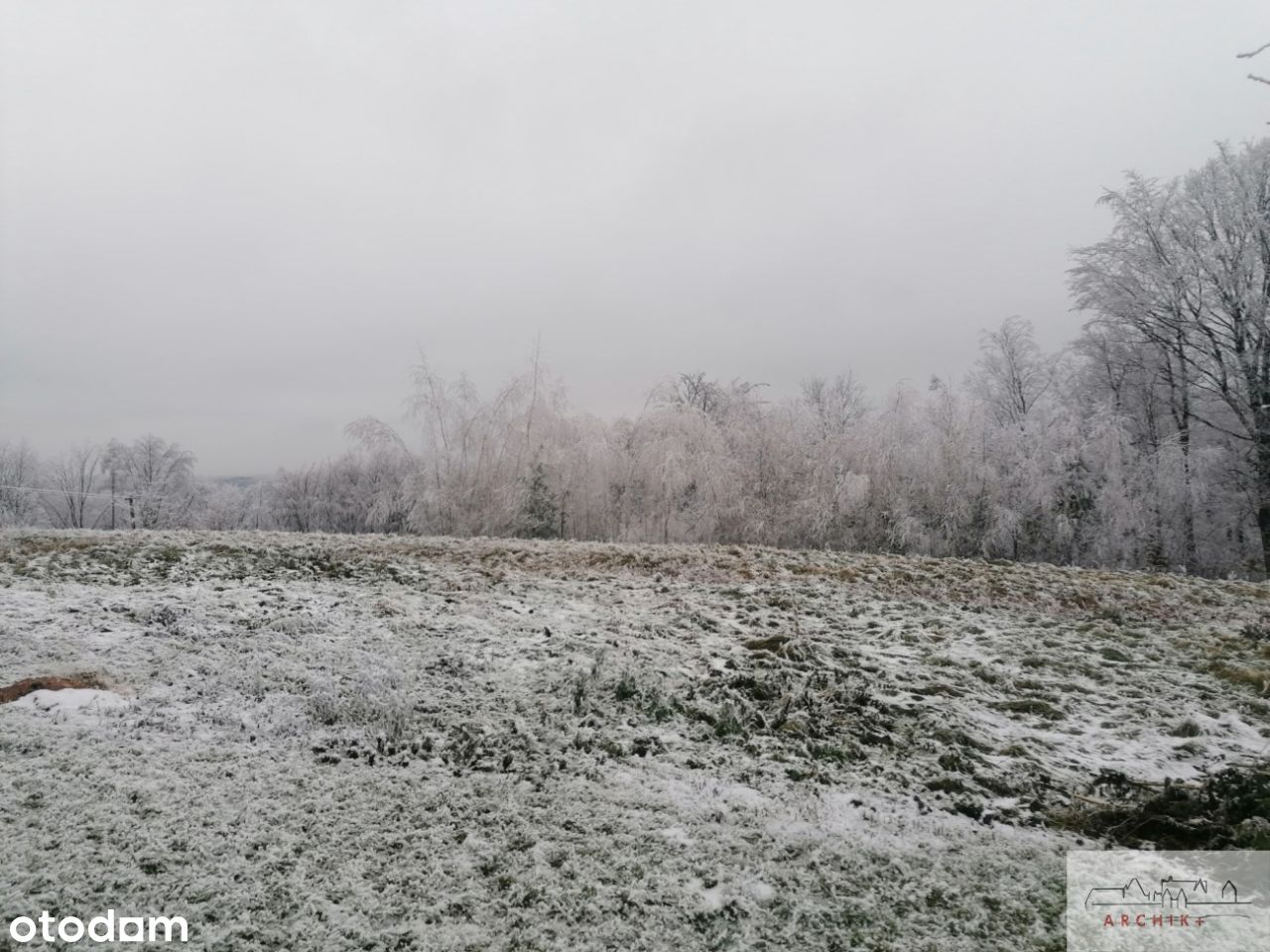 Działka budowlana w Brzezowej