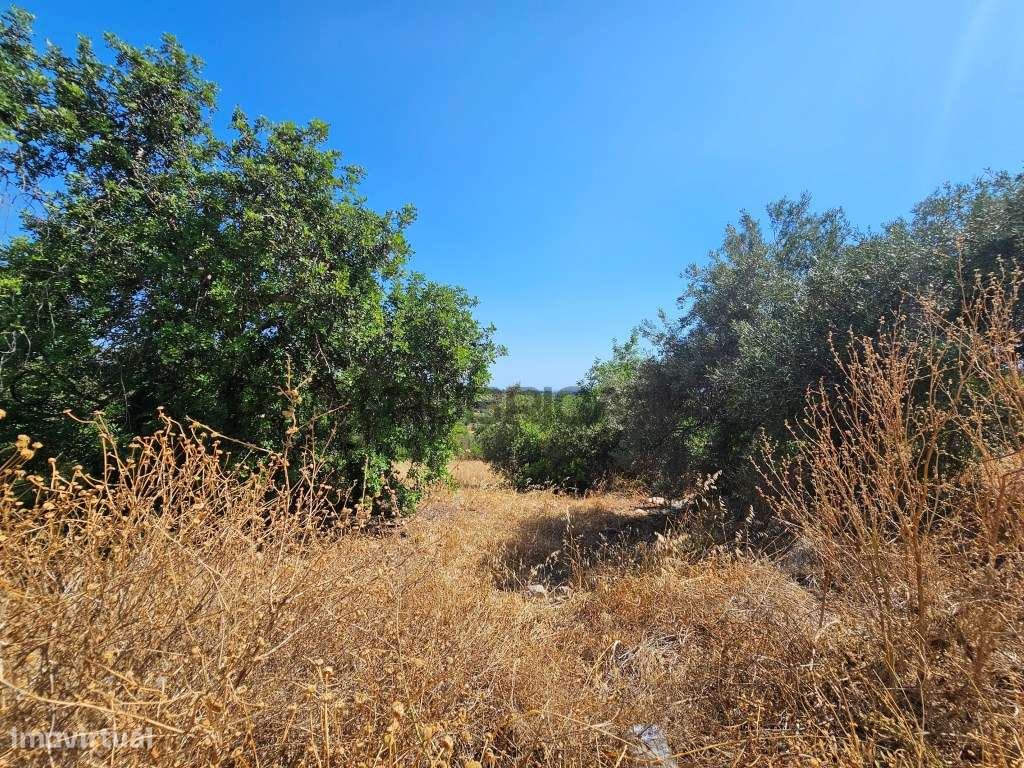 Casa com herdade de 30 mil m2 a sul de Loulé com enorme potencial-6
