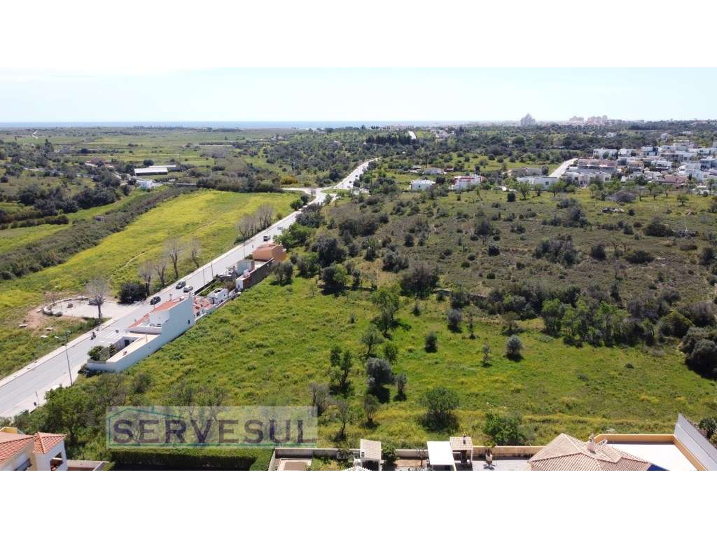 Lote de terreno rústico com area total de 21960m2, localizado em Al... - Grande imagem: 5/11