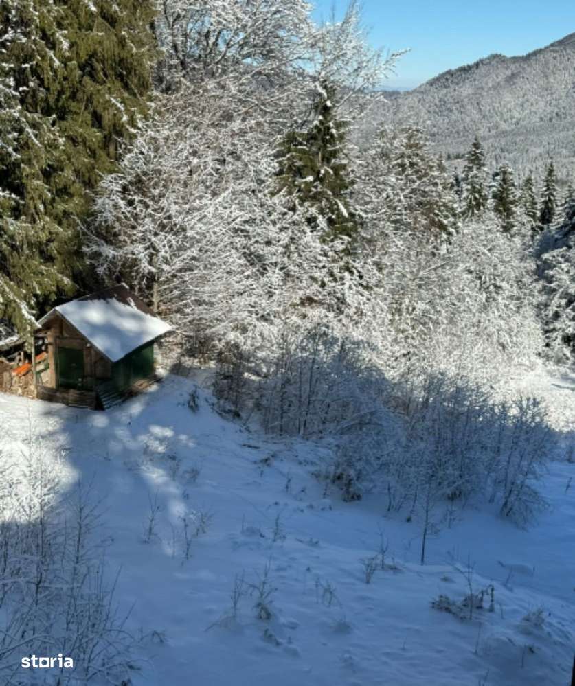 Teren Cioplea Predeal - Imagine principală: 3/7