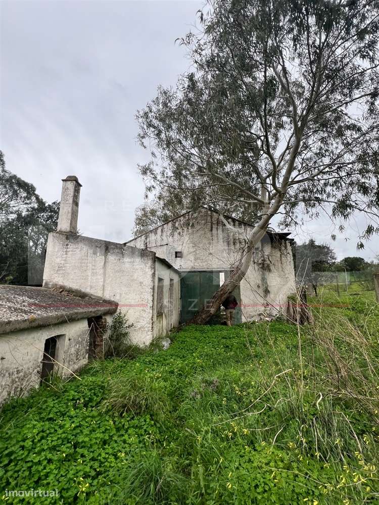 Lote terreno com moradia para recuperar - Arraiolos-7