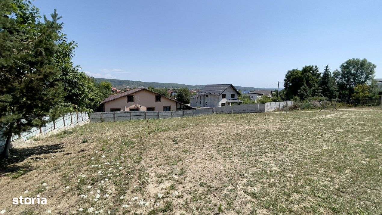 Teren Intravilan de Vis in Bascov, la Marginea Padurii! - Imagine principală: 4/5