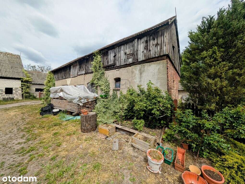 Duży przedwojenny dom jednorodzinny - Pławin-11