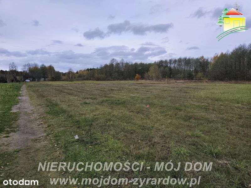 Polecamy działkę budowalną w dobrej cenie - Pełny obrazek: 5/6