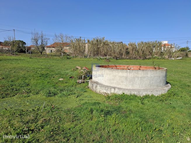 Terreno urbano com 15.867 m2 em Cela, Alcobaça,  e ruína de 336,30 m2-10