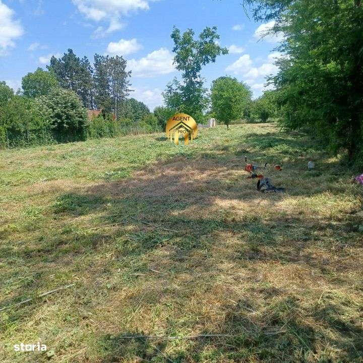 4 X Loturi Teren Intravilan in Saftica – Balotesti |  100m de DN1 - Imagine principală: 1/11