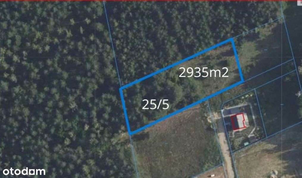 Działka 2935m² z MPZP, PRZY LESIE i Ścieżce Rowerowej - Bieńki Śmietan-6