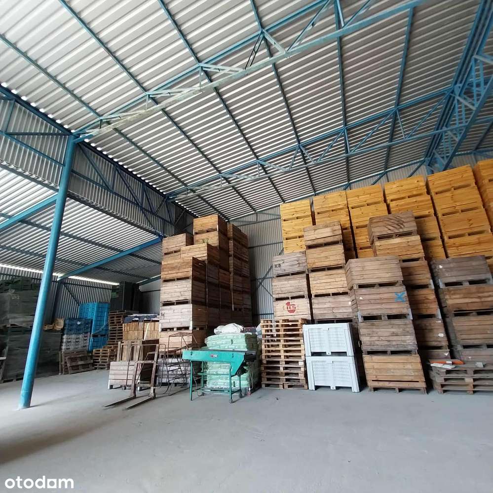 Gotowy biznes-sad-magazyny-chłodnie-biuro-dom / UKR-5