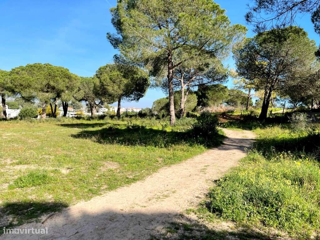 Terreno Misto com 10,4 ha em Vale Carro de Baixo, Albufeira-4