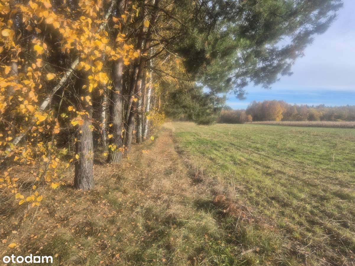 Na sprzedaż działka – Łochynia, gmina Mykanów-4
