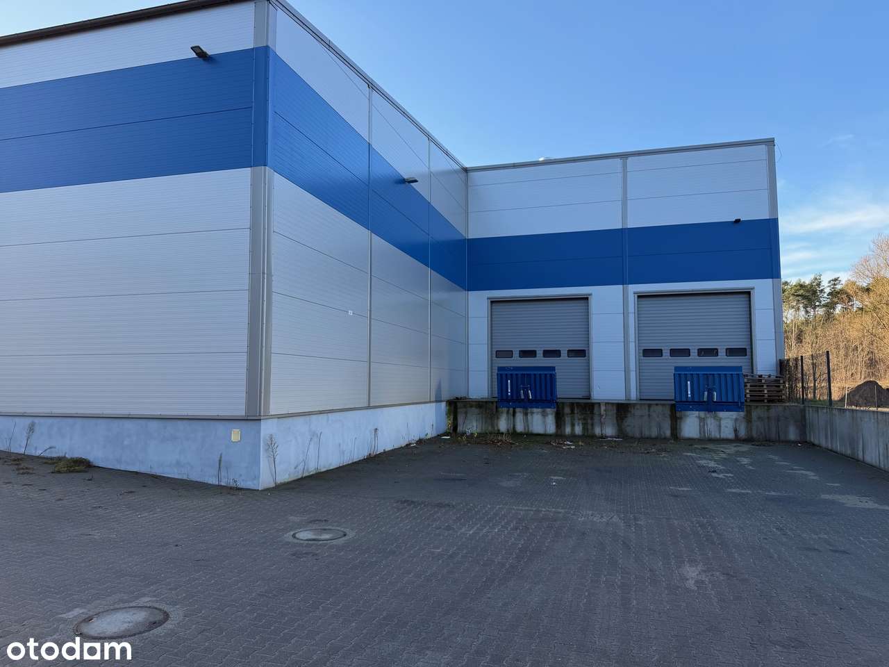 Hala Magazynowa 2300m plus biura 150 m Przylep -Zielona Góra - Pełny obrazek: 5/11