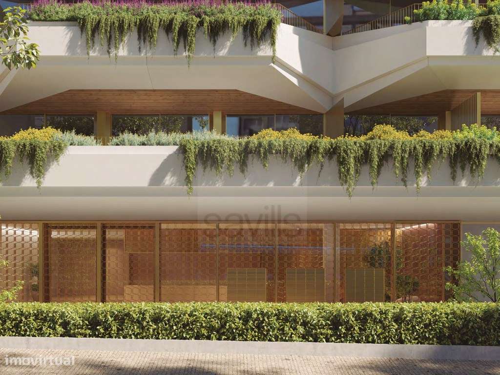 Prisma . Boavista - Grande imagem: 5/34