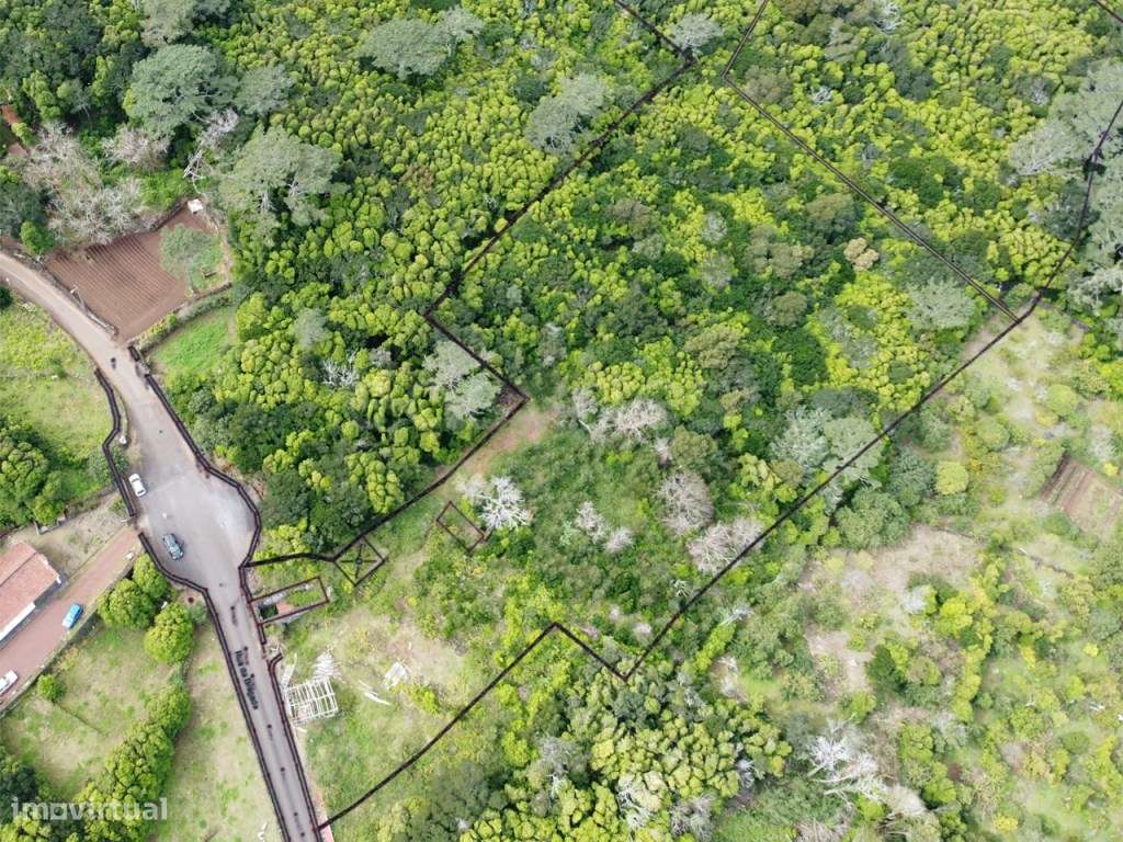 Ruína e com Terreno - Rua da Bragada, Sto António, Pico - Grande imagem: 4/10