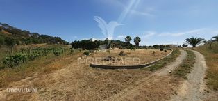 Quinta de 1,06 Ha com Moradia T4 em Santa Luzia – Ourique - Grande imagem: 2/40
