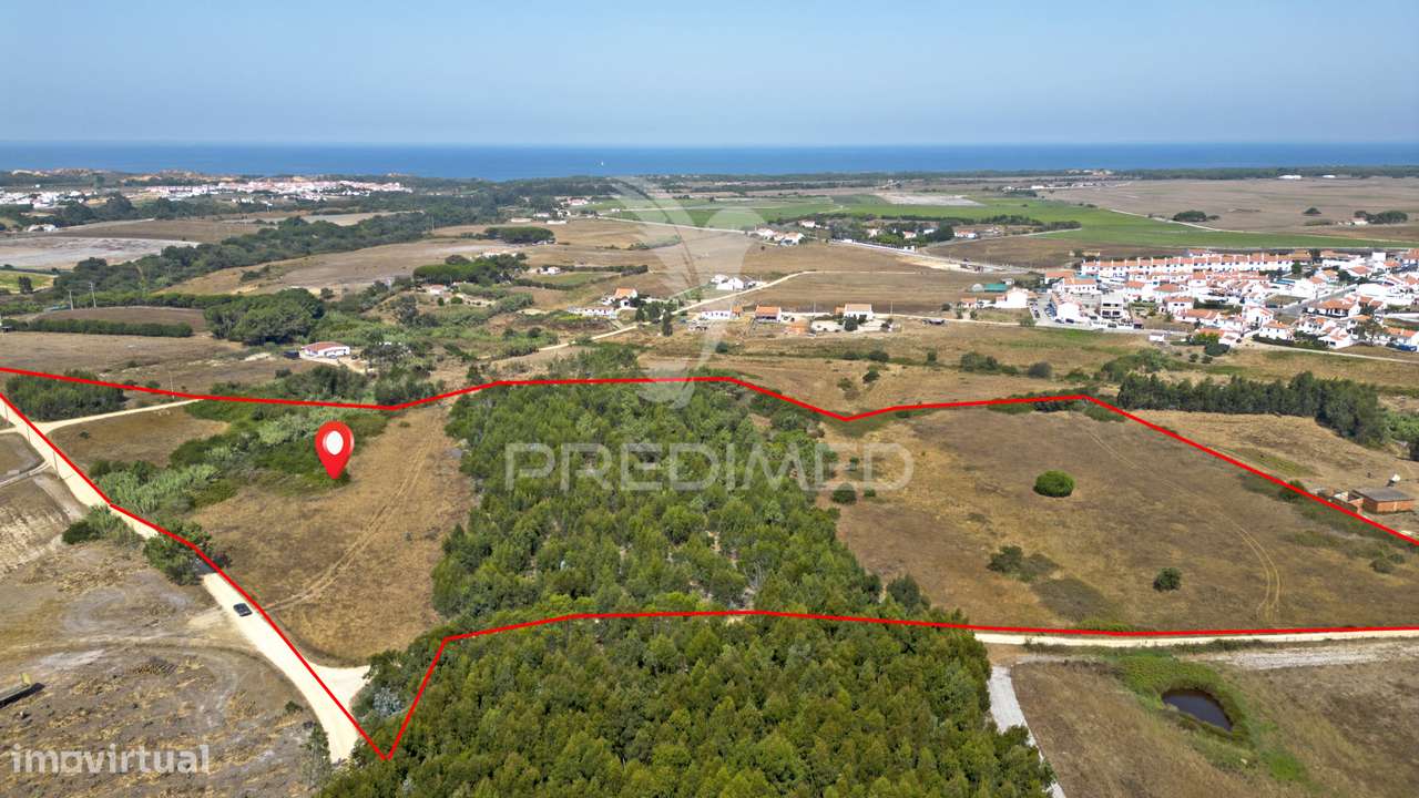 Quinta com 4,9000 ha e ruina de 47,3 m2 em Longueira - Grande imagem: 4/22