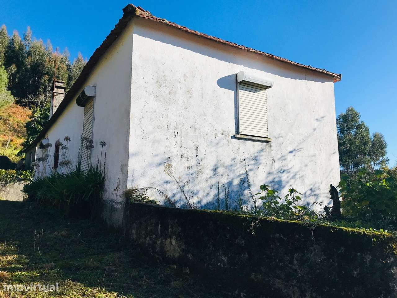 Quintinha com dois edificados, 4800m2 de terreno, na freguesia de Insa - Grande imagem: 4/45