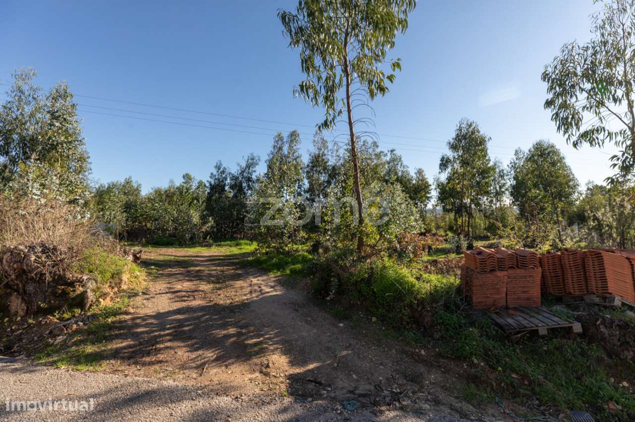 Terreno | São Facundo | Coimbra | 4950m2 - Grande imagem: 3/25