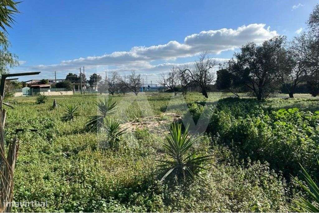 Terreno com Enquadramento Estratégico | Porto Alto – Samora Correia - Grande imagem: 4/32