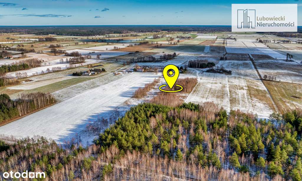 Kompleks działek w Wilamowie - Pełny obrazek: 5/13