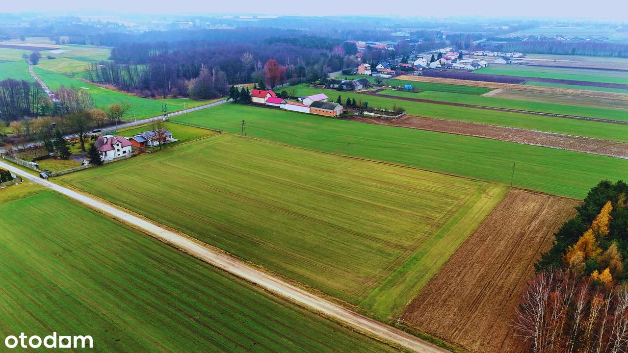 Kompleks działek | 1150 m2/1650 m2 | 5 min. od Rawy Mazowieckiej NIWNA-10