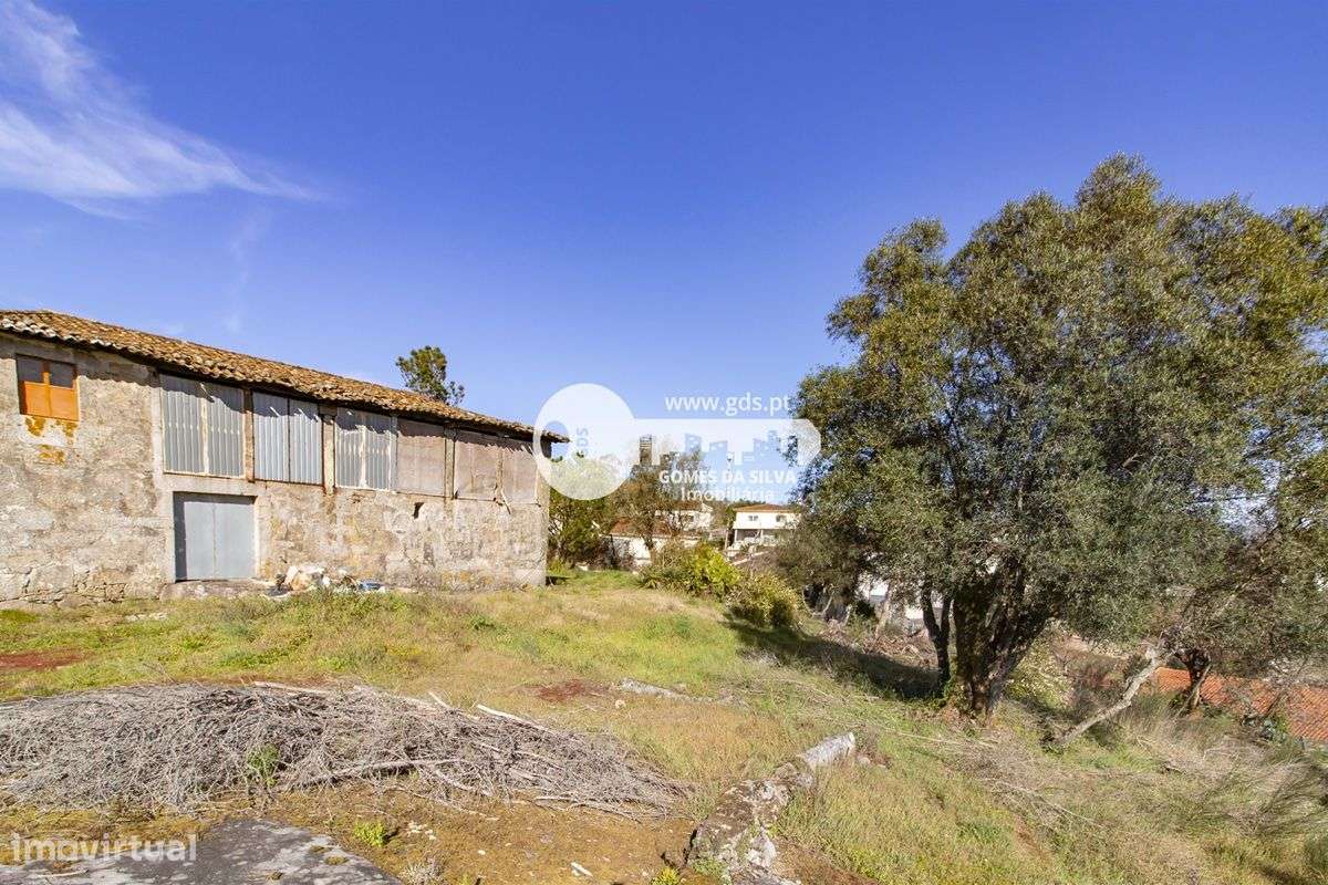 Duas moradias para restauro em Lago - Grande imagem: 4/19