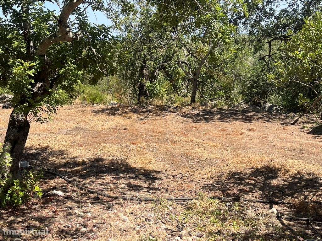 Quinta com duas casas, vistas para o mar e 11.940 m² de terreno em ...-49