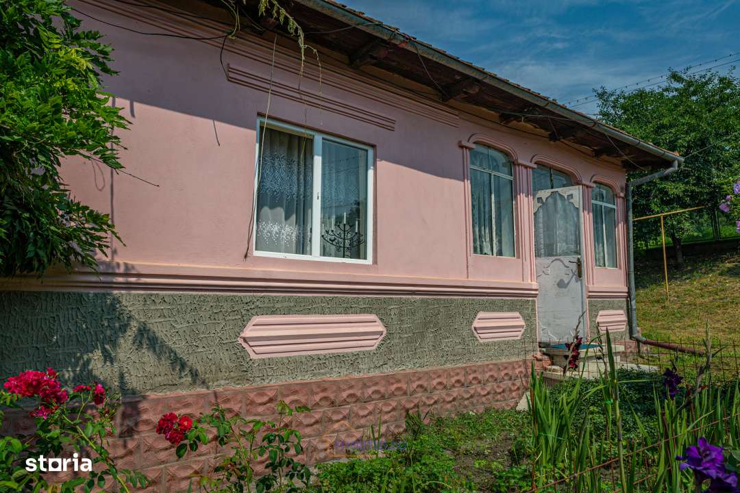 O casa, un teren, mai multe optiuni – Comanesti, Str. Moldovei-2