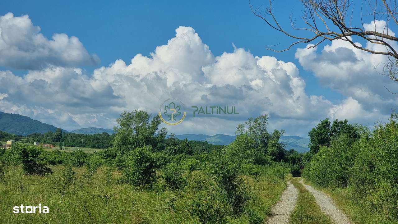 Teren de vânzare în Calea Cisnădiei, Sibiu – 550 mp, PUZ aprobat, vede - Imagine principală: 5/15