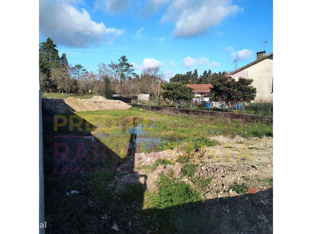 Terreno Urbano- Cantanhede - Grande imagem: 3/3