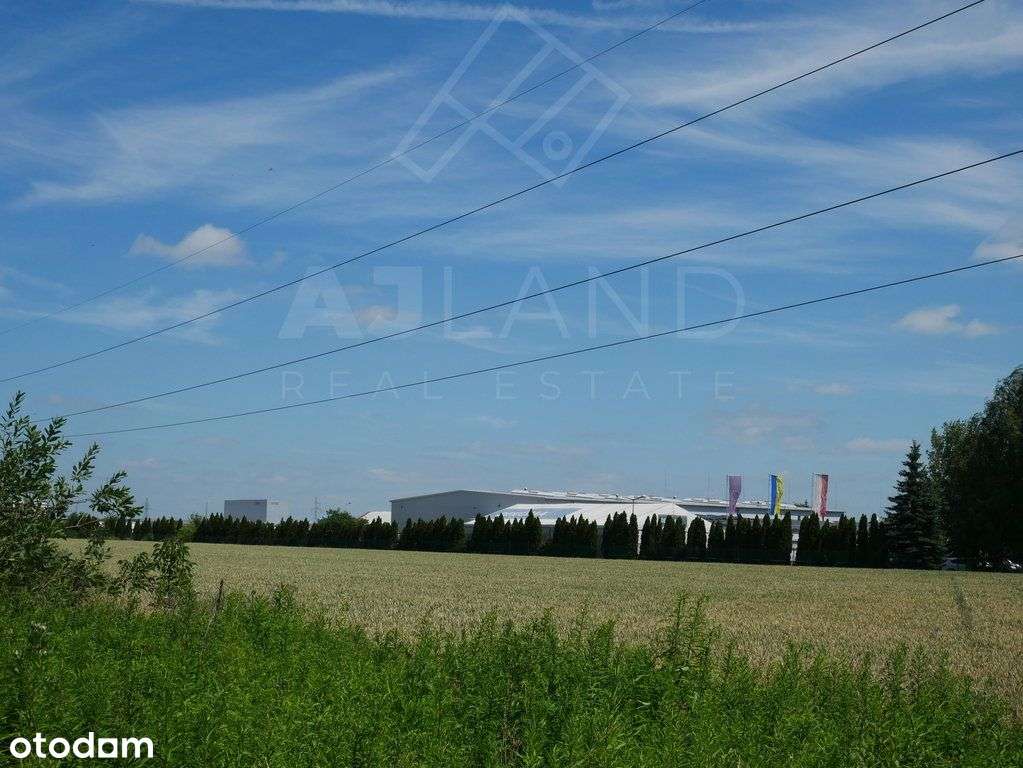 Działka, 25 000 m², Zalasewo - Pełny obrazek: 5/7