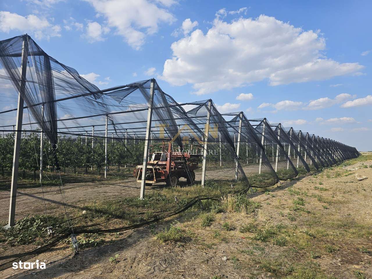 De Vânzare Afacere La Cheie ( ARAD) - Imagine principală: 4/17