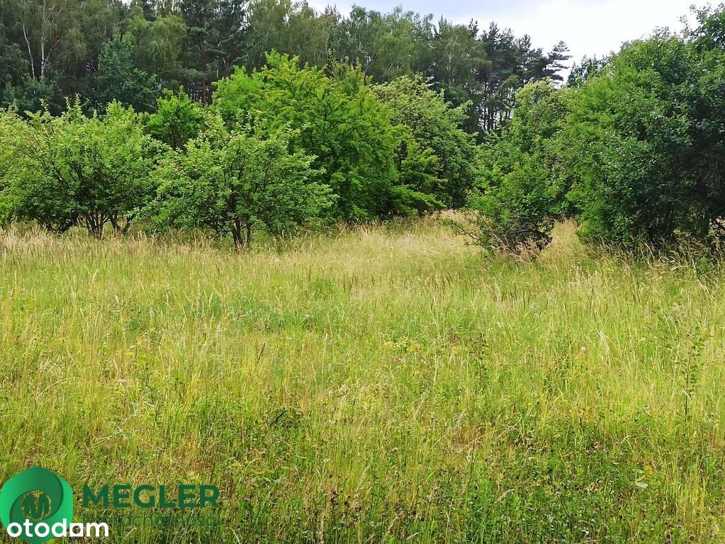Działka niedaleko lasu-9