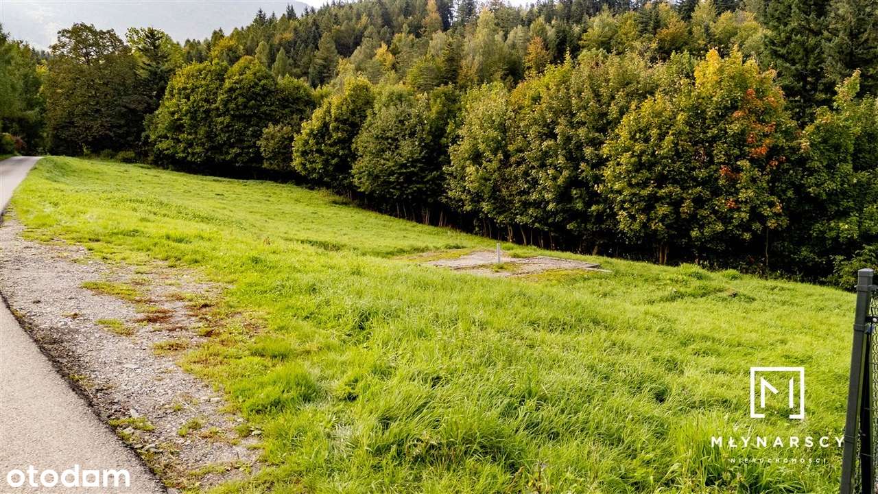 Widokowa działka budowlana z lasem | 21 a Lipowa-3