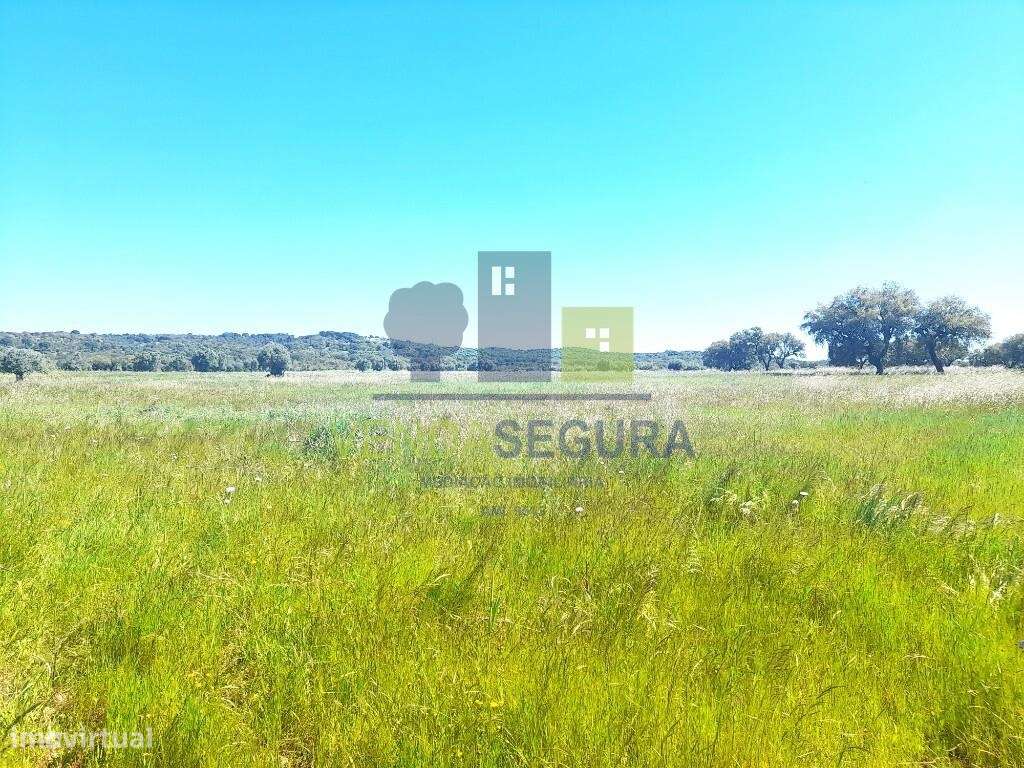 Terreno rústico | V.N.Baronia - Grande imagem: 3/7