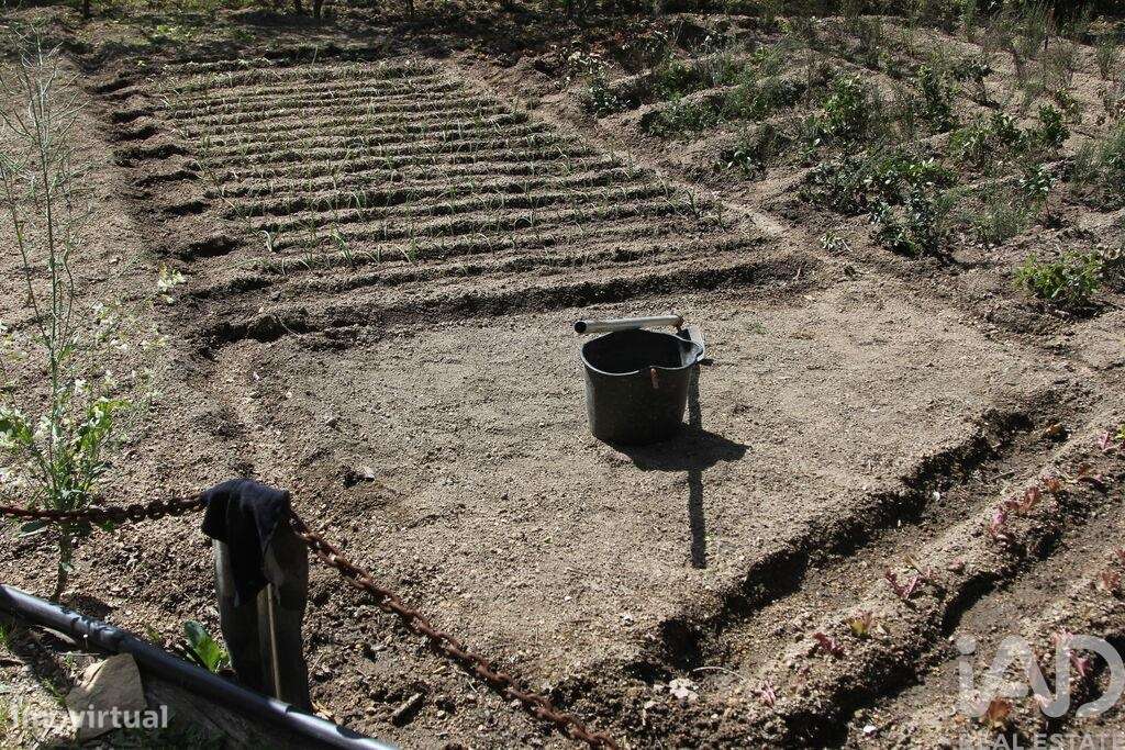 Terreno Agrícola em Oliveira do Hospital e São Paio de Gramaços-25