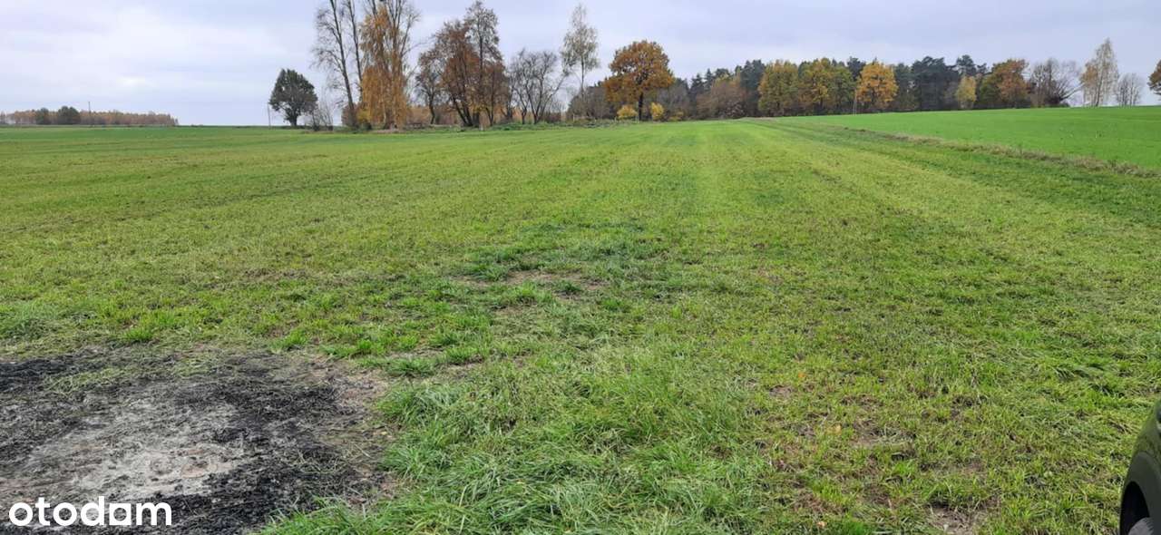 Sprzedam działkę - Pełny obrazek: 5/7