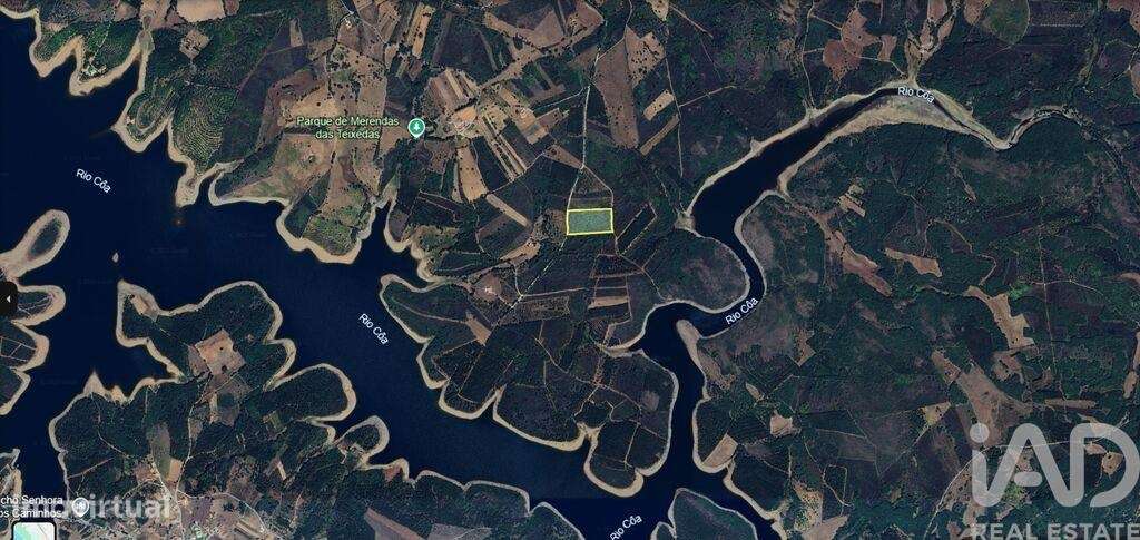 Terreno Agrícola em Sabugal e Aldeia de Santo António - Grande imagem: 4/4