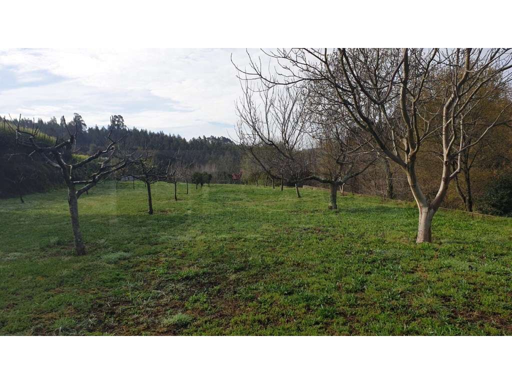 Terreno para construção de moradia - 10 minutos de Albergaria-a-Velha - Grande imagem: 5/10