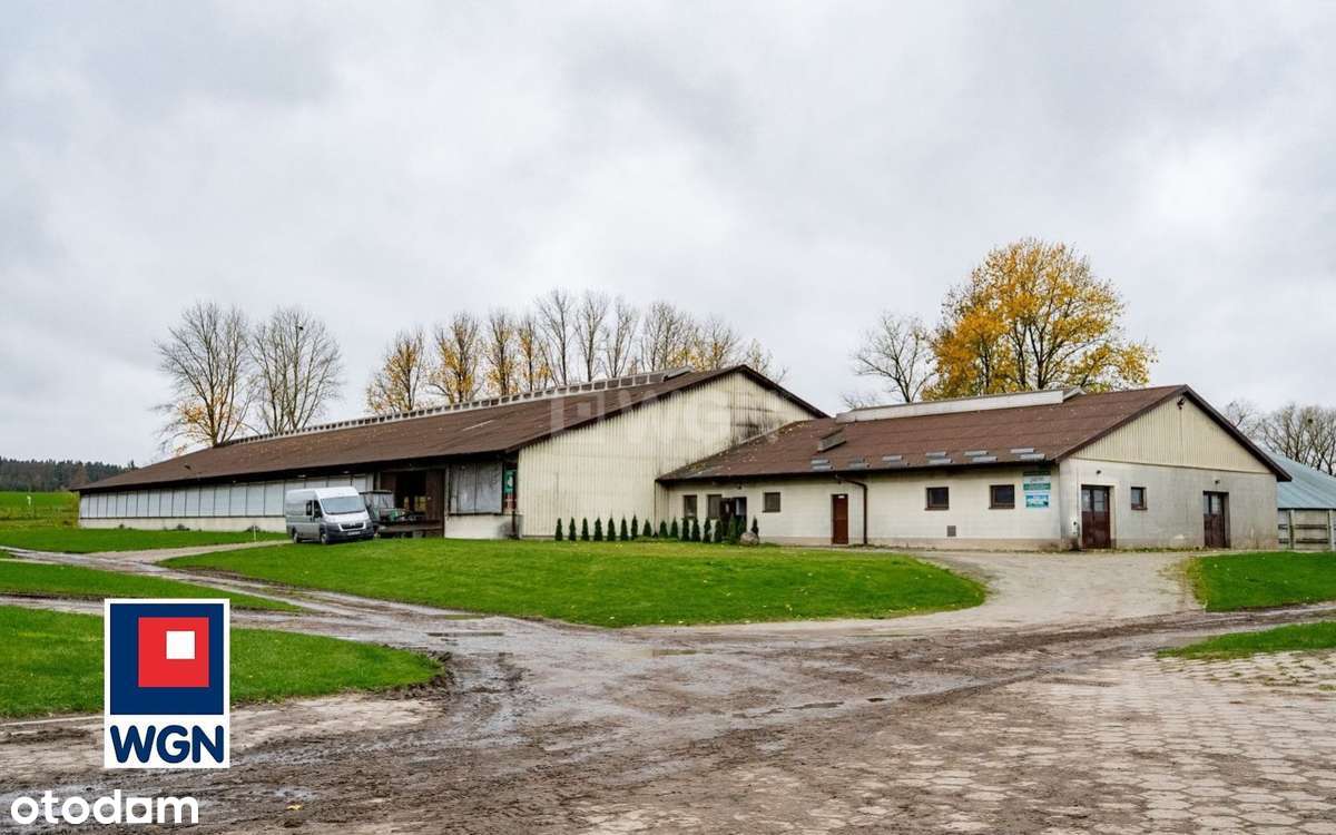 Na sprzedaż, Gospodarstwo Rolne- Ekologiczna Farma Mleczna, Wyczechowo-4