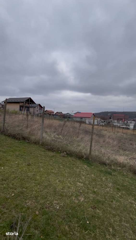 Teren - zona Dumbrava-1