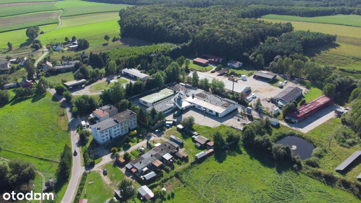 Zakład Produkcyjno usługowy | działka 2,4 ha - Pełny obrazek: 5/20