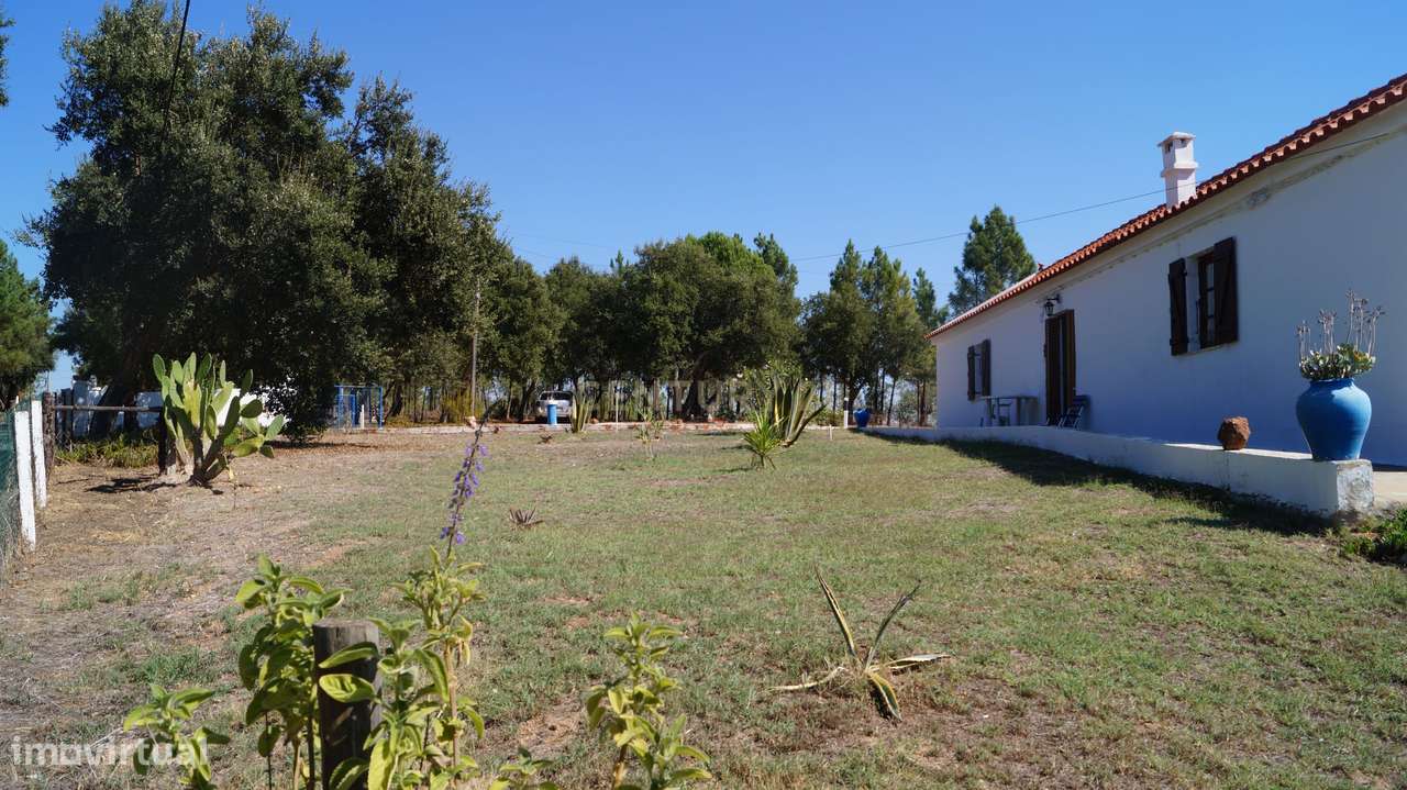Monte/Terreno-Santiago Cacém, c/Vista Camp0 e Árvores Frutíferas - Grande imagem: 2/36