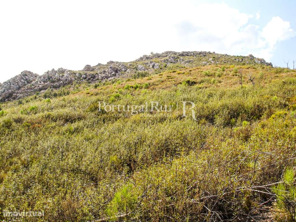 Terreno com nascente de águas naturais - Grande imagem: 4/15