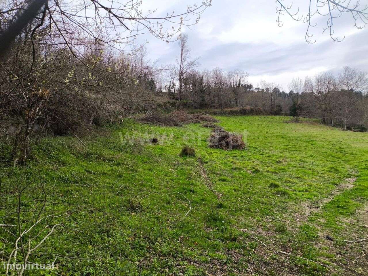 Terreno / Baião, Campelo e Ovil - Grande imagem: 2/11