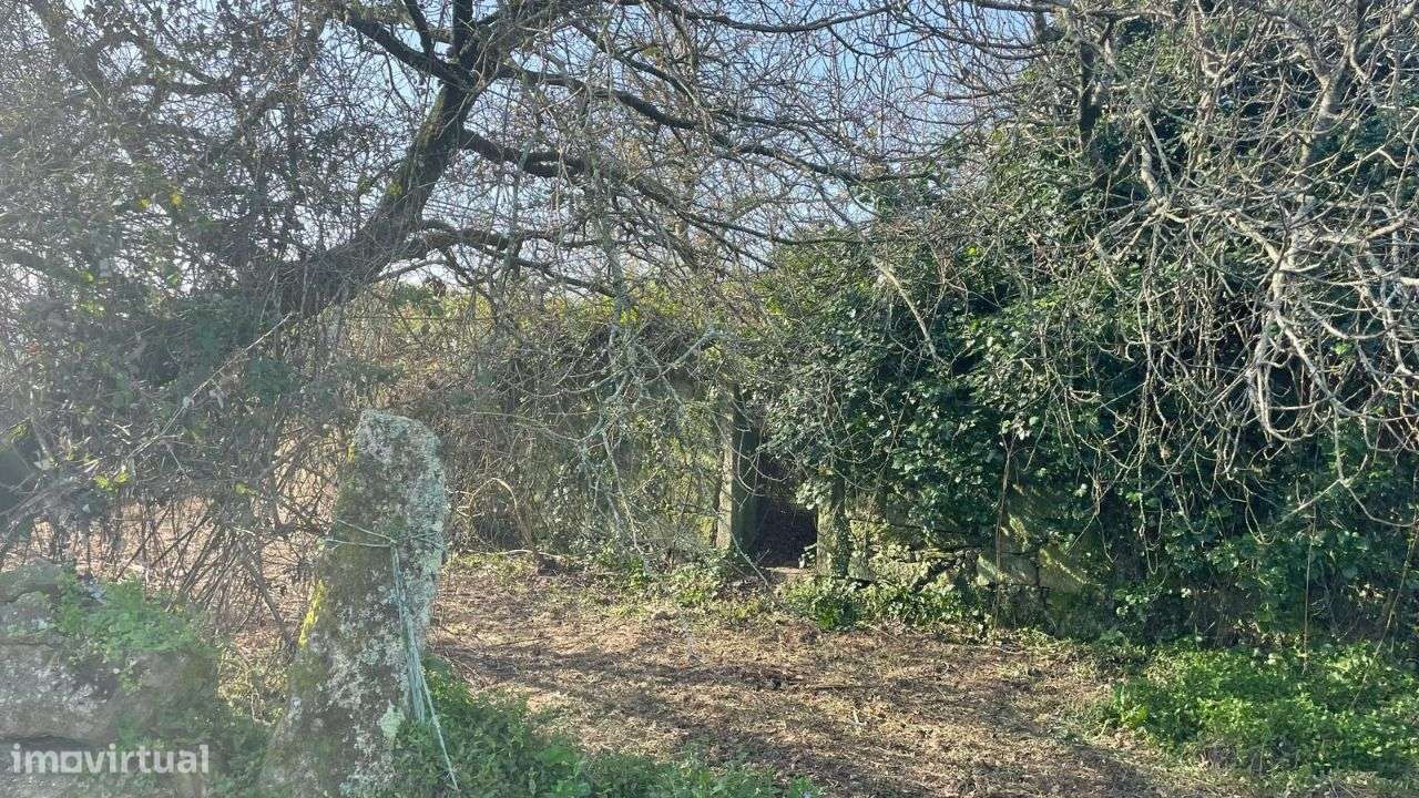 Terreno para Construção com Vista Rio em Gemeses - Grande imagem: 5/5