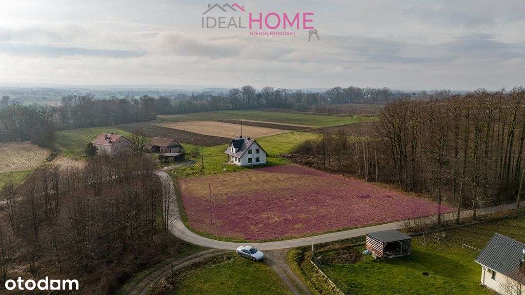 Działka Sędziszów Młp. - 25,09a-3