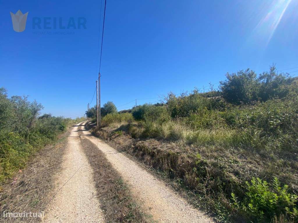 Arruda dos Vinhos - T1 Ótimo Local - Grande imagem: 5/32